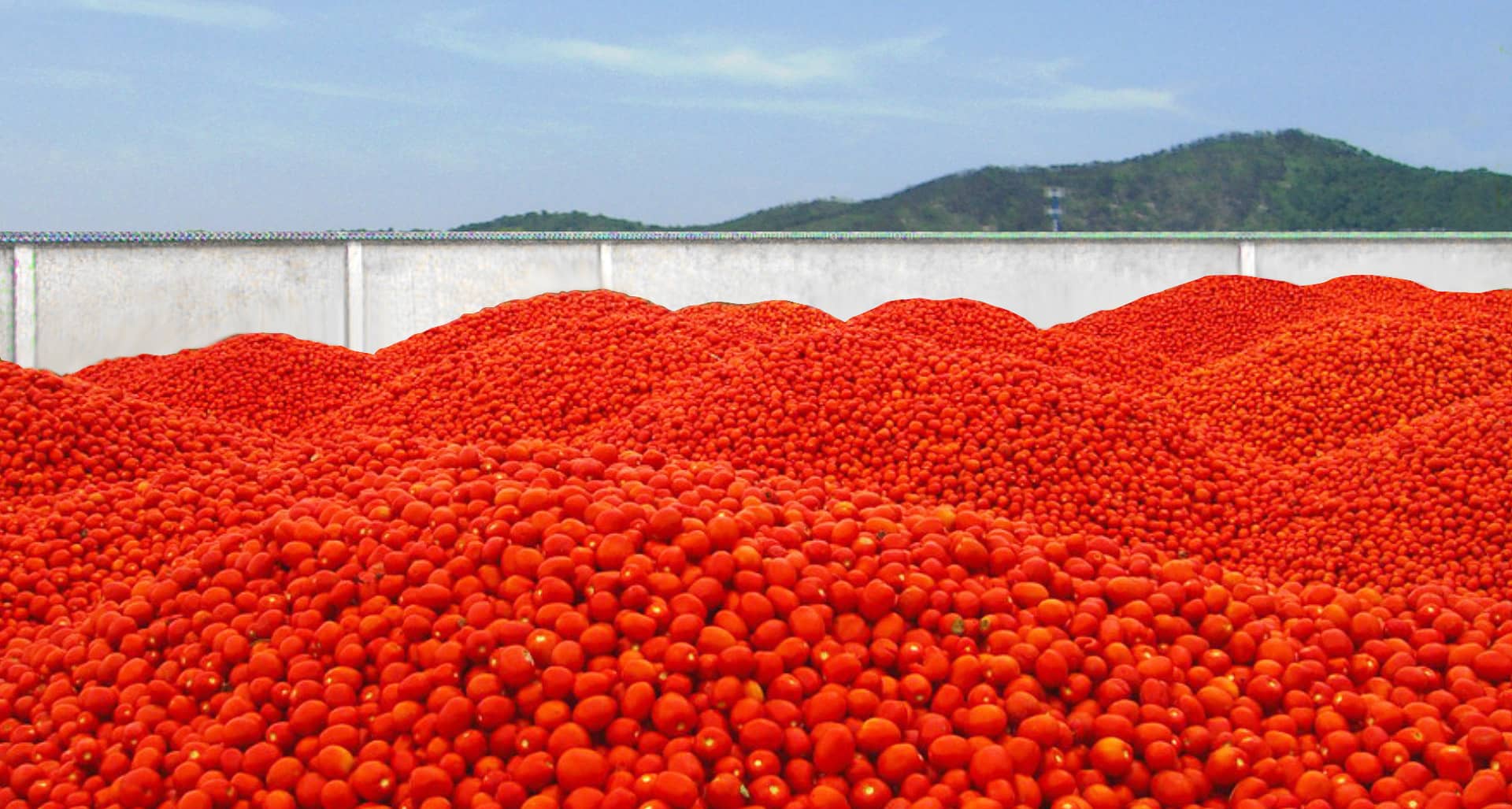 Ningbo junyoufu cibum Co., Ltd.